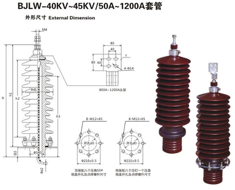 BJLW-40KV-45KV-50A-1200A套管_01.jpg