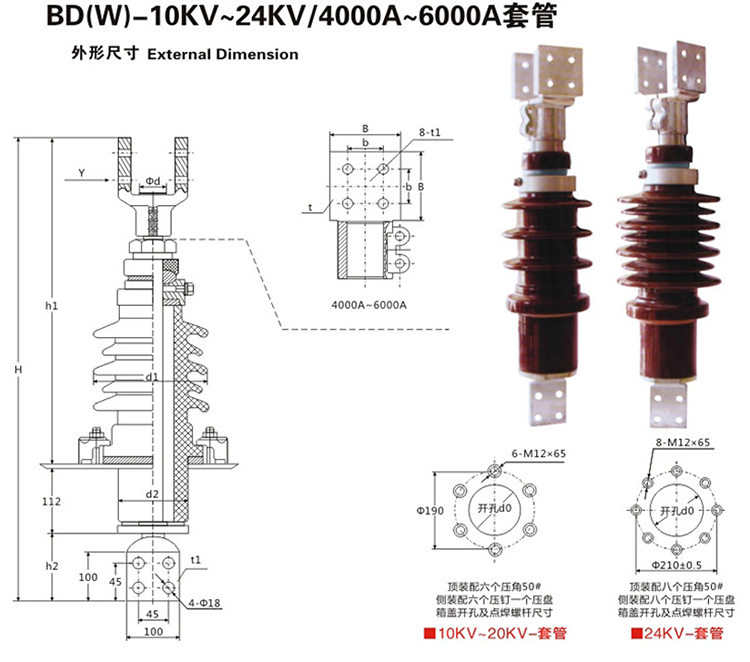 BD（W）-10KV-24KV-4000A-6000A套管_03.jpg